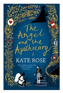THE ANGEL & THE APOTHECARY by KATE ROSE Historic novel HEALING & HOPE @ NEW - Picture 1 of 2