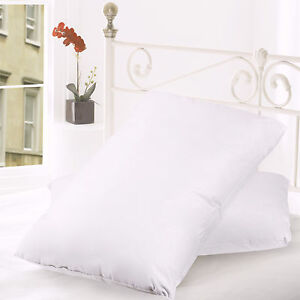 Down and Feather Blend 100% Cotton Cover Premium Bed Pillow 2 Pack - Queen Size