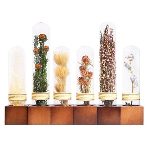 6Pcs Dried Flowers Book Shelf Decor,Boho Shelf Decor,Small Plants Decor for O... - Foto 1 di 7