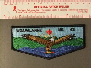 Boy Scout OA 43 Woapalnne First Flap 8650OO - Picture 1 of 1