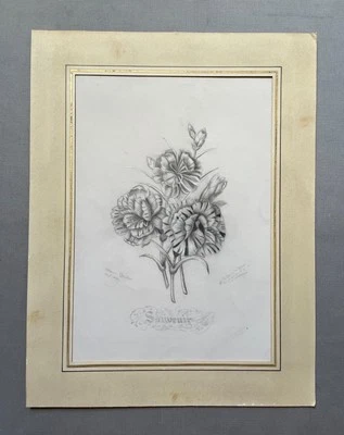 Fleurs, Souvenir, Dessin ancien signé, XIXe - Photo 1/4