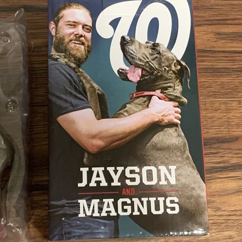 Jayson Werth & Magnus Washington Nationals Pet Dog Figurine 2016 SGA Bobblehead Cover