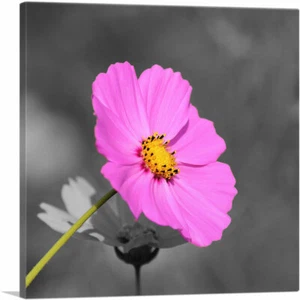 Impresión artística en lienzo de flor rosa en bosque ARTCANVAS - Imagen 1 de 11