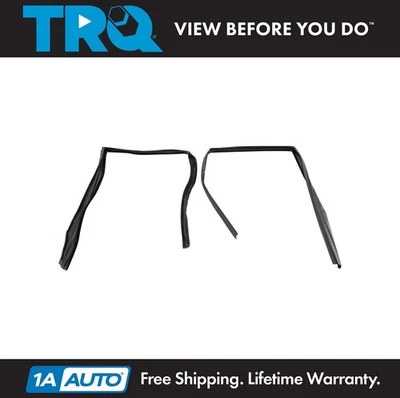 Canal de funcionamiento de vidrio de ventana TRQ para Buick Cadillac Chevrolet Oldsmobile Pontiac Foto 1 de 3
