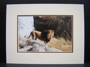 Mini stampa artistica opaca Charles Frace Mighty Warrior leone africano - Foto 1 di 1