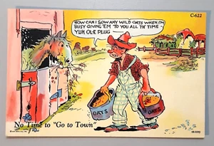 Vintage Postcard RURAL COMICS Farm Horse Feeding Oats No Time to "Go to Town" - Picture 1 of 2