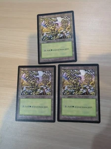 3x Flores Rosa Lado Derecho Magic The Gathering Forest Mirage 292 Regular Land - Magic Basic  - Imagen 1 de 2