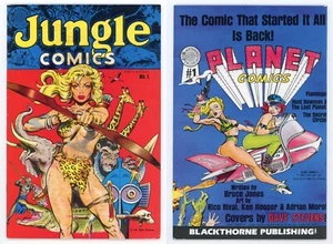 Jungle Comics #1 (FN- 5.5) Sheena DAVE STEVENS Cover Art 1988 Blackthorne - Picture 1 of 3