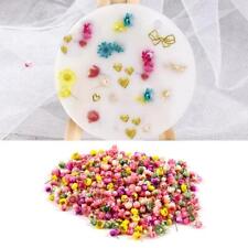 140pcs Real Dried Flowers For Art Craft Epoxy Resin Jewellery Candle MakingBest