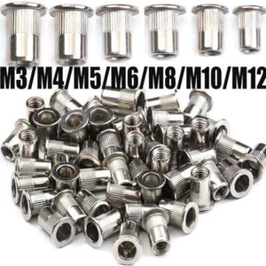 10/20/50PCS 304 StainlessSteel Rivets Nuts Insert Flat Head Threaded Nut Riveter - Picture 1 of 11