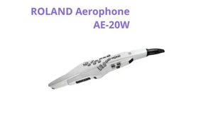 ROLAND Aerophone AE-20W Mercari - Picture 1 of 4