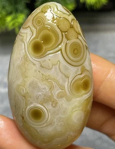 Natürliche Mongolei Gobi Achat Augen Achat Stein Sammlung Präparat - Bild 1 von 4