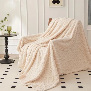 Coperta Matrimoniale Pile, Coperta per Divano Morbida, Plaid Pile Blanket per Le - Foto 1 di 12