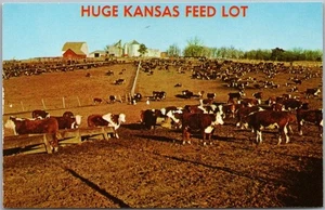 Vintage 1960er Kansas Postkarte "RIESIGES KANSAS FUTTERLOT" Rinder / unbenutzt - Bild 1 von 2