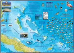 Bahamas Wandkarte laminiertes Poster - Bild 1 von 4