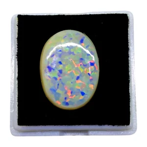 9.55 Cts Australian Opal Doublet 17.5x13mm Top Quality Flashy Loose Gemstone - Picture 1 of 15