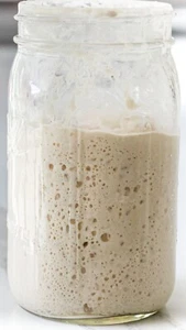 ORGANIC Sourdough Bread Starter San Francisco - Live 200yrs Old BEST SELLER! - Picture 1 of 4