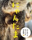 Livre photo testicules de chat Nyantama testicules tankobon couverture souple Yoshizawa Rumiko JAPON