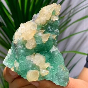 385G Rare transparent GREEN cubic fluorite mineral crystal sample/China - Picture 1 of 16