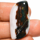100% Natural Bloodstone S Shape Cabochon Loose Gemstone 25 Ct 30X15X6mm GC-28321