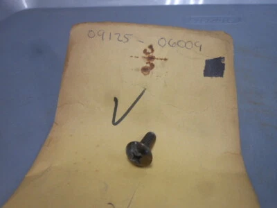 Nuevo de Lote Antiguo Guardabarros Trasero Suzuki 6x15 Tornillo RM125 RM250 RM500 RM80 ZR50 GT200 09125-06009 Foto 1 de 3