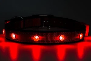 LED Dog Collar for Pet Safety. Money Back Guarantee. Flashing Dog Collar with LE - Picture 1 of 4