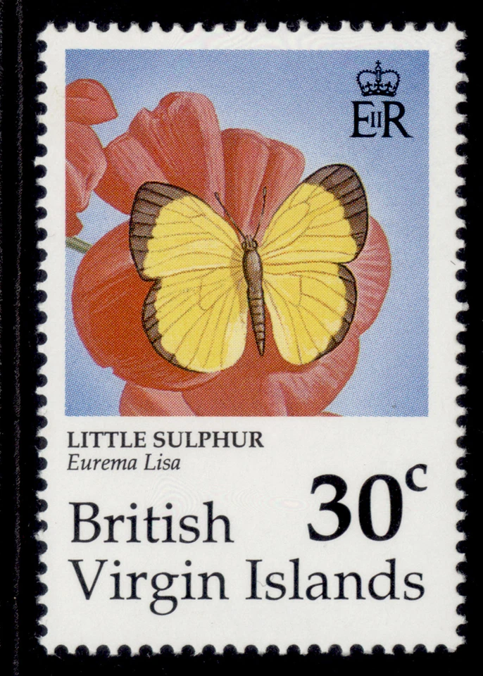 BRITISH VIRGIN ISLANDS QEII SG789, 1991 30c butterflies, NH MINT. — 第 1/1 张图片