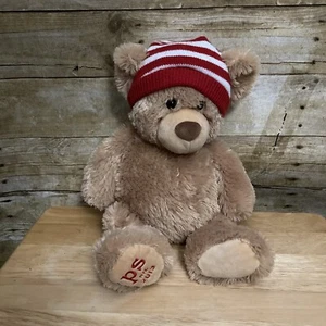 Gund PS von Aeropostale NYC 2013 Winter Teddybär Plüschtier Stofftier 14 Zoll - Bild 1 von 9