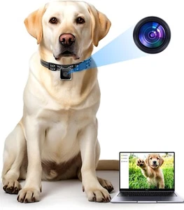 Collare Telecamera Gatto/Cane, No APP No WiFi, Collare Senza Fili Telecamera per Video Esterno - Foto 1 di 5