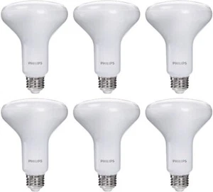 Philips LED Frosted Indoor BR30 Dimmable Warm Glow Effect, 650 Lumen, 2700-2200K - Picture 1 of 9