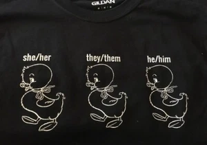 pronoun ducks she/her they/them him/her unisex tshirt - Picture 1 of 2