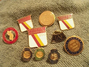 10 Mix Pin Lot Gun Firearms Shooting Hunting Lapel Pins Hat Pinback, NRA - Picture 1 of 4