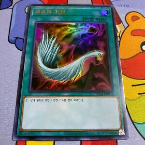Harpie's Feather Duster Yu-Gi-Oh! TCG Individual Trading Card 