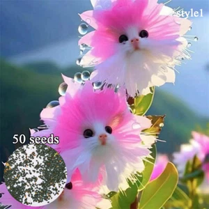 50 sztuk Słodki czat -Czat -Nasiona Słodkie orchidee Nasiona Bonsai -Rośliny dla Den / s - Zdjęcie 1 z 27