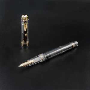 2017 Wing Sung 698 Piston 14K Gold Pen Transparent Golden Clip Fine Nib No Box - Imagen 1 de 6