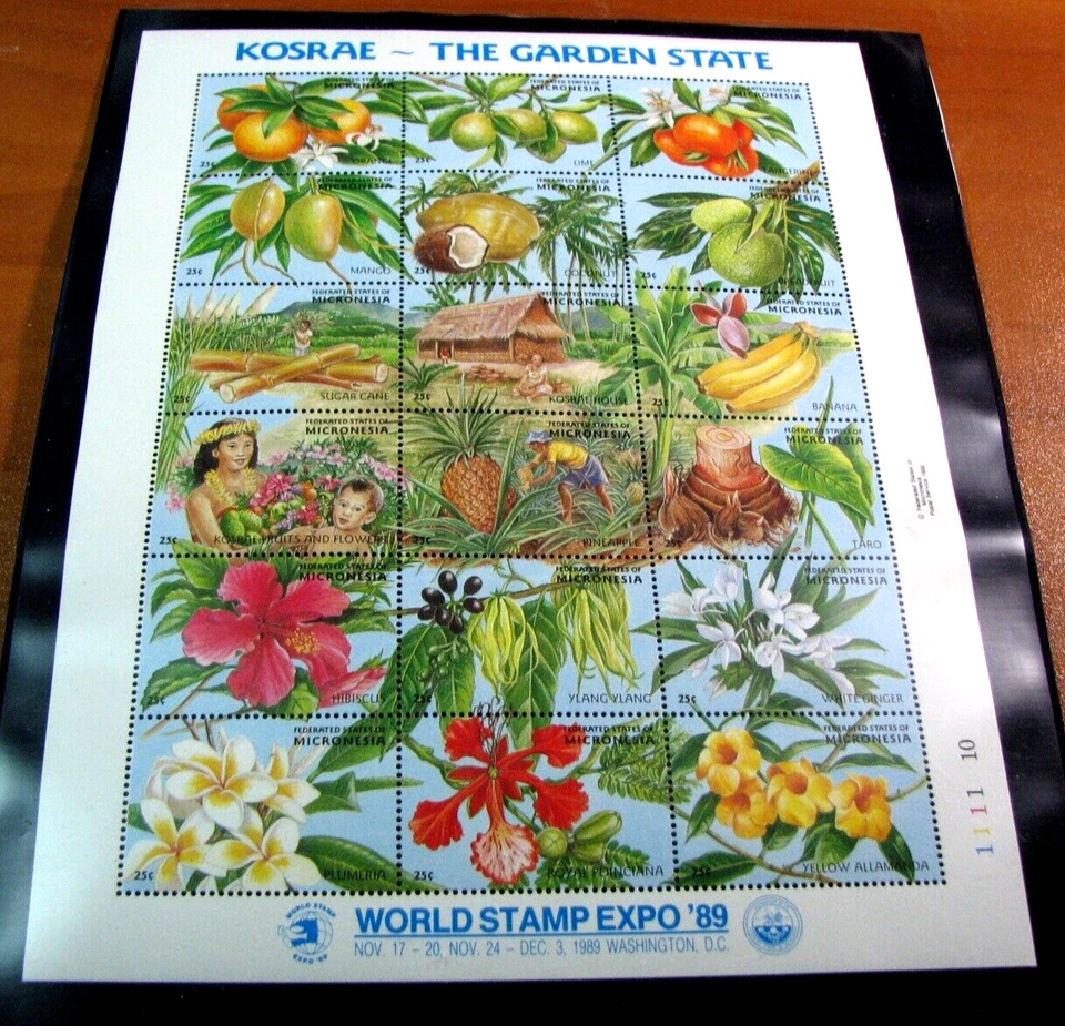 Micronesia Scott# 103 Fruits and Flowers 1989 MNH L742 - Image 1 of 1