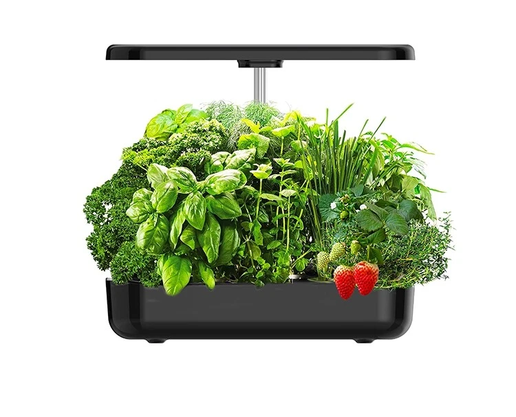 Indoor Hydrokultur Anzuchtsystem 12-Pod schwarz - Aeroponic Starter Kit - Bild 1 von 4