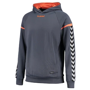 Hummel Pullover Authentic Charge Poly Hoodie Herren Kapuzenpulli grau 0334038730 - Bild 1 von 3