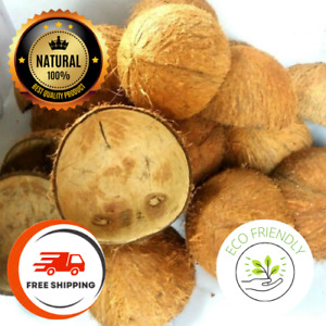 Eco Friendly Ceylon Natural Coconut Shell Halves/Coco Shell Bowl/Craft 2lb(900g)
