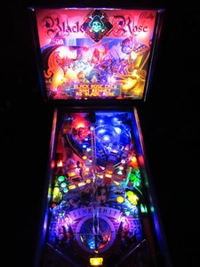 BLACK ROSE Complete LED Lighting Kit custom SUPER BRIGHT PINBALL LED KIT - Picture 1 of 5
