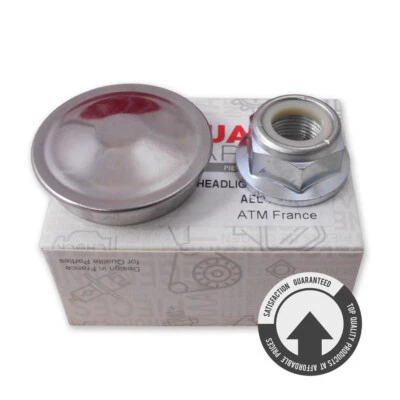 RADNABE MUTTER SCHUTZDECKEL BREMSSCHEIBE RADLAGER HINTEN RENAULT CLIO 3 MEGANE 2