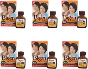 Bigen Powder Hair Color, Black Brown N20 - Pack of 6 (Combo Set) Free Shipping - Picture 1 of 1