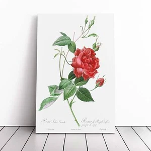 Stampa tela rosa rosso sangue bengala arte da parete incorniciata grande quadro decorazione - Foto 1 di 7