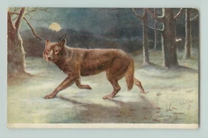 POSTCARD Common wolf . wild animals Tucks "oilette" 3210 - Picture 1 of 2