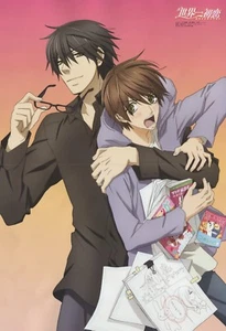 póster promo Sekai Ichi Hatsukoi Sekaiichi Inazuma Eleven anime Endou Mamoru - Imagen 1 de 2