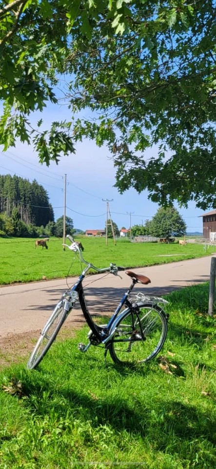 Gebrauchtes Simplon Damen Fahrrad  - Bild 1 von 4