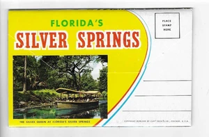POSTKARTENMAPPE - FLORIDAS SILBERFEDERN - Bild 1 von 2