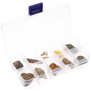 Materiales de enseñanza de ciencia ámbar trilobite paleontológico 10 piezas - Imagen 1 de 12