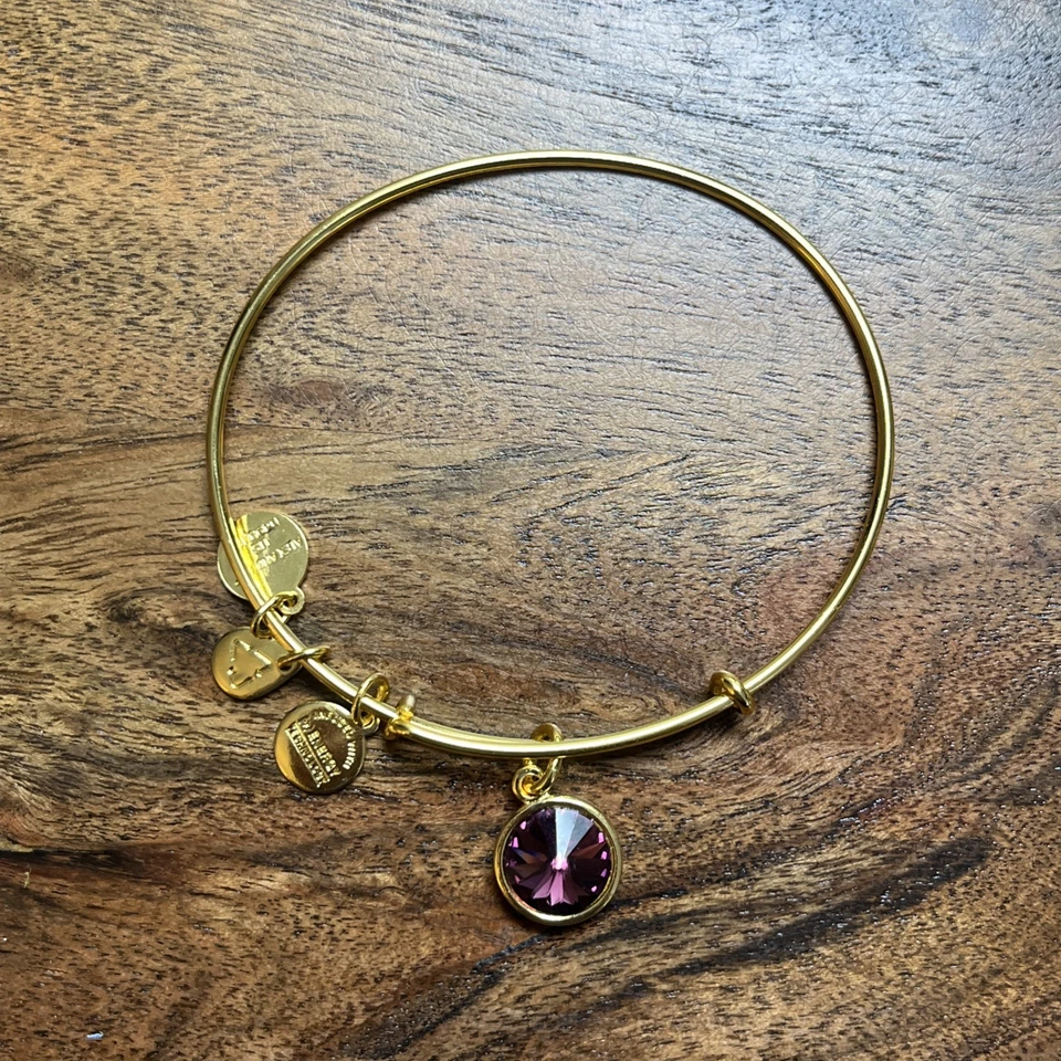 Brazalete Alex and Ani, púrpura Foto 1 de 1