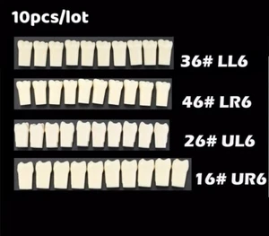 Columbia 860 10 un./lote Dental Individual Typodont Dientes Repuesto #16 #26 #36 - Imagen 1 de 14